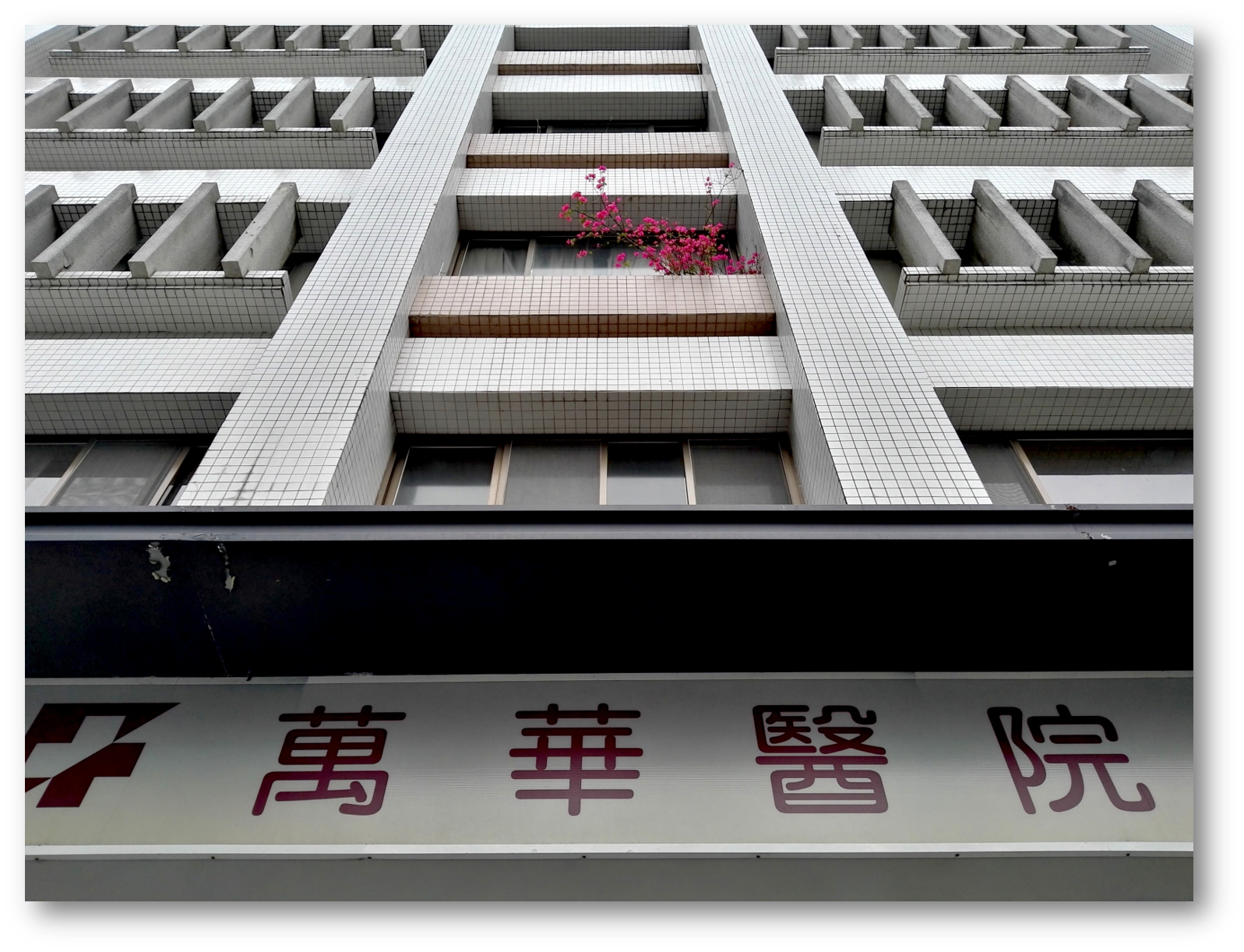 新澳门2024免费资料大全集